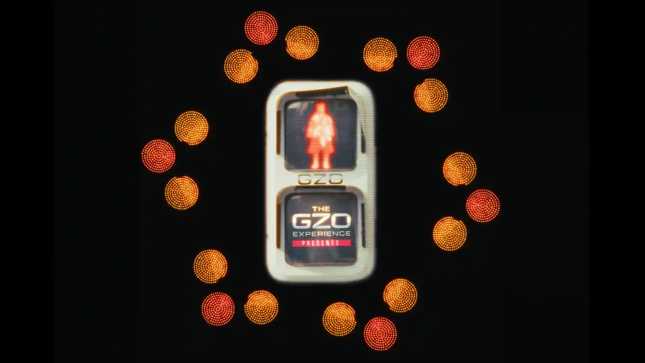 GZO Experience